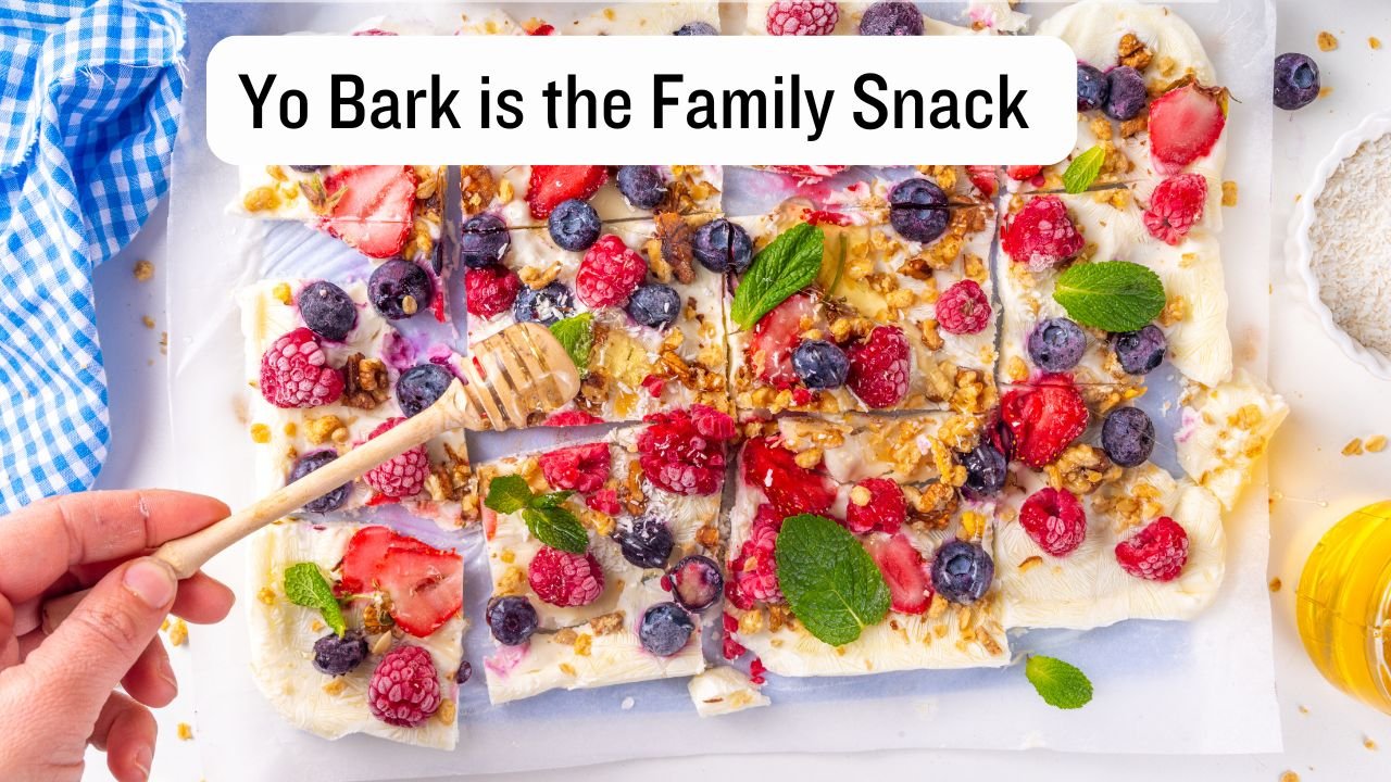 Yo Bark is the Family Snack